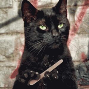 Levar alguém que não foi convidado