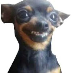 Só para dizer que não dei nada